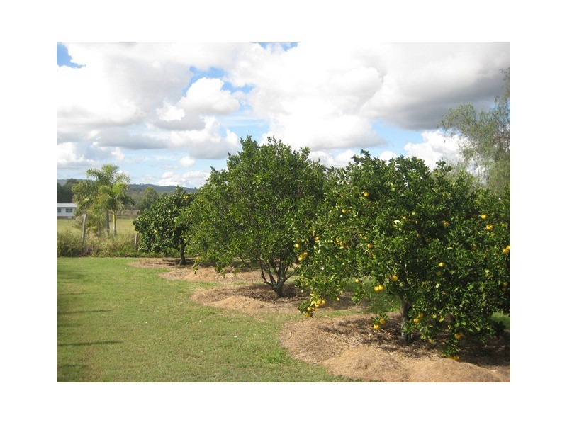 9 Niemeyer Road, Hatton Vale QLD 4341