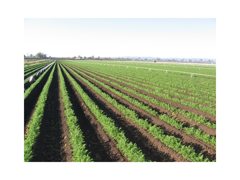 15 LOCKROSE ROAD, Lockrose QLD 4342