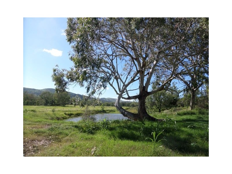 657 Ropeley Rockside Road, Ropeley QLD 4343
