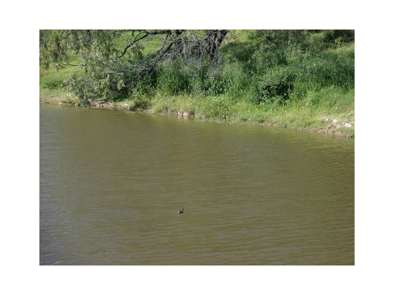 657 Ropeley Rockside Road, Ropeley QLD 4343