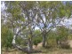 657 Ropeley Rockside Road, Ropeley QLD 4343