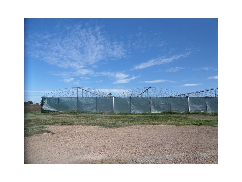 1 HERMY ROAD, Glenore Grove QLD 4342