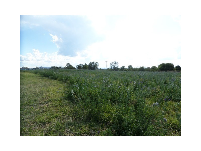 157 RAILWAY STREET, Gatton QLD 4343