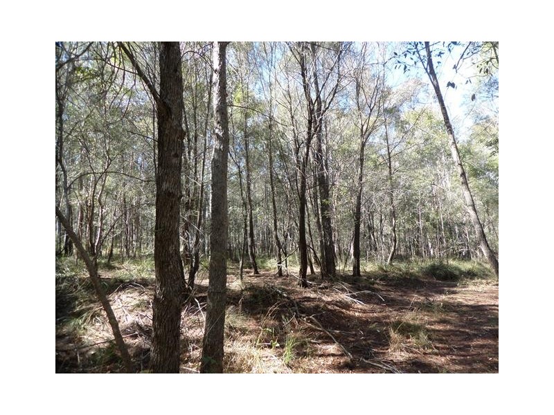 830 EAST EGYPT ROAD, Egypt QLD 4344