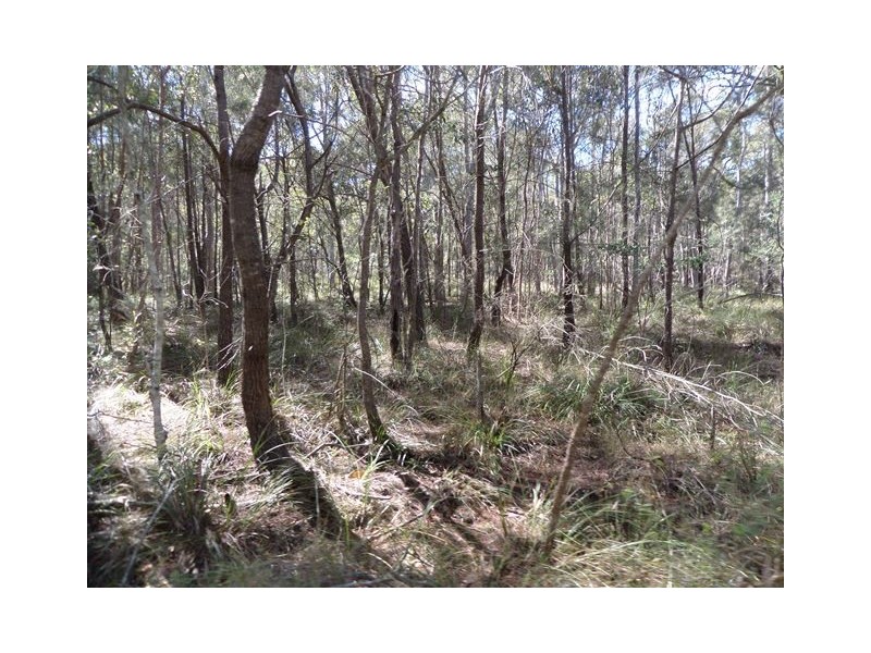 830 EAST EGYPT ROAD, Egypt QLD 4344