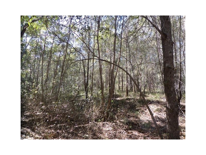 830 EAST EGYPT ROAD, Egypt QLD 4344