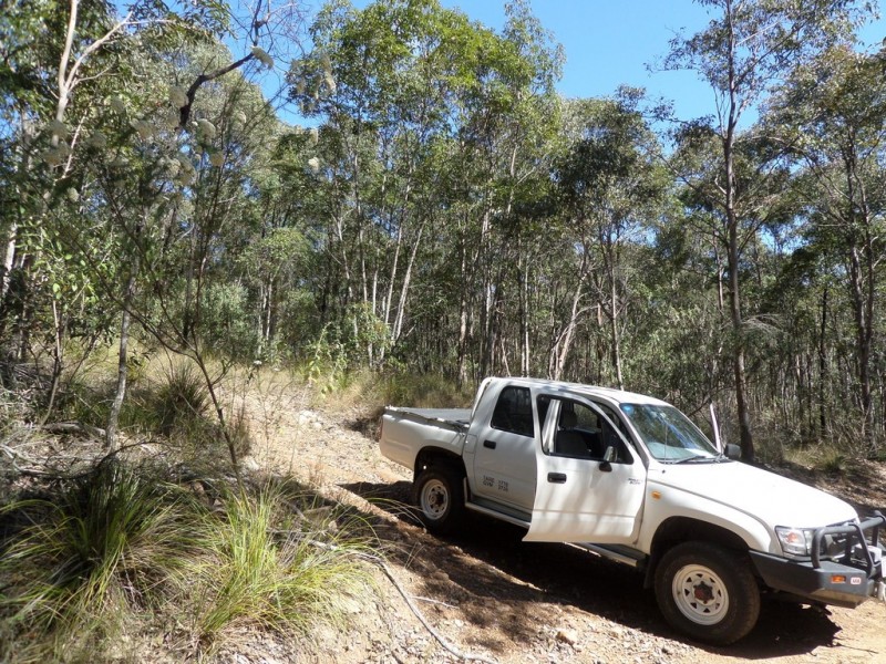 830 EAST EGYPT ROAD, Egypt QLD 4344