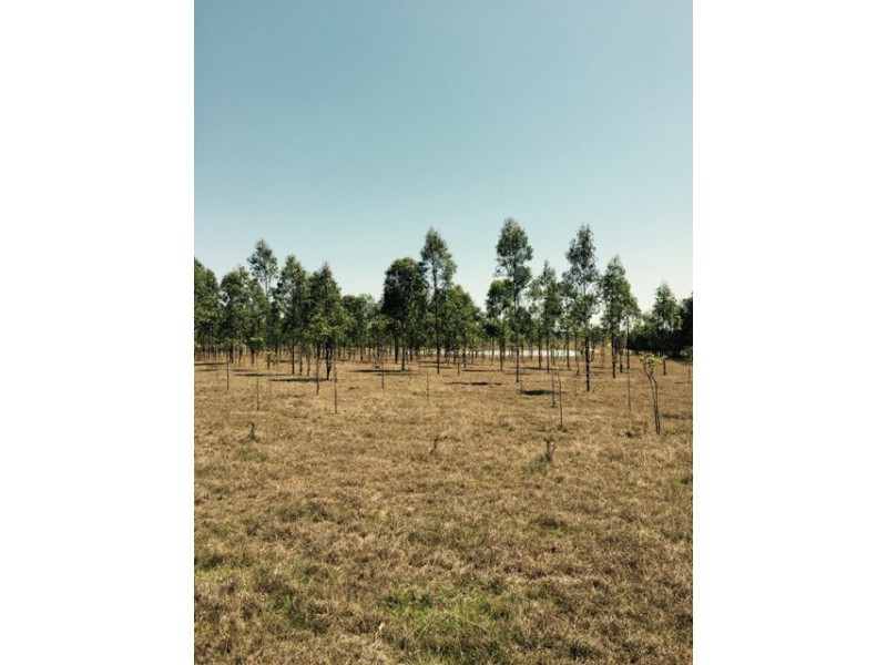 279 WATSONS ROAD, Mount Tarampa QLD 4311