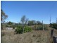 Adare QLD 4343