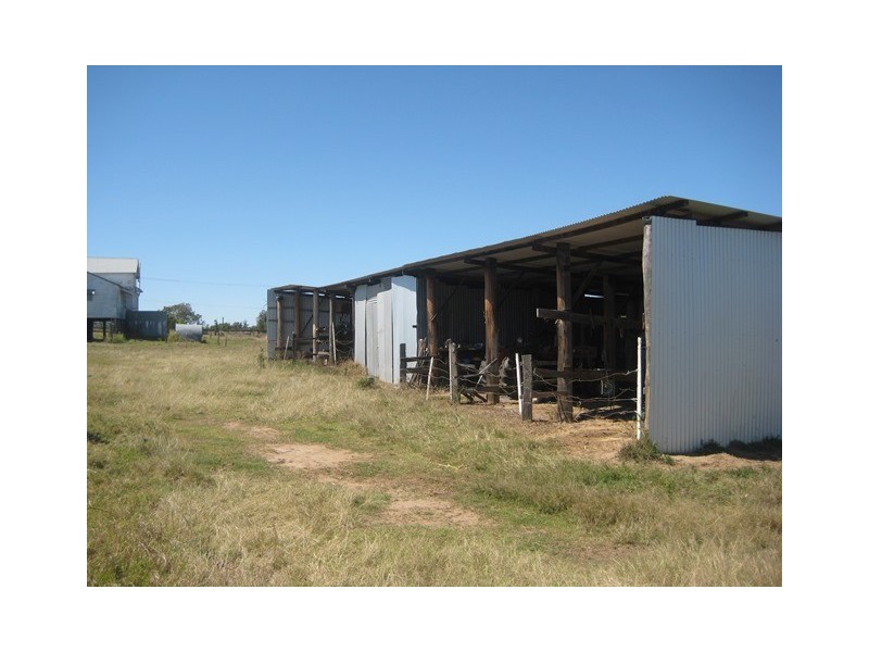 Adare QLD 4343