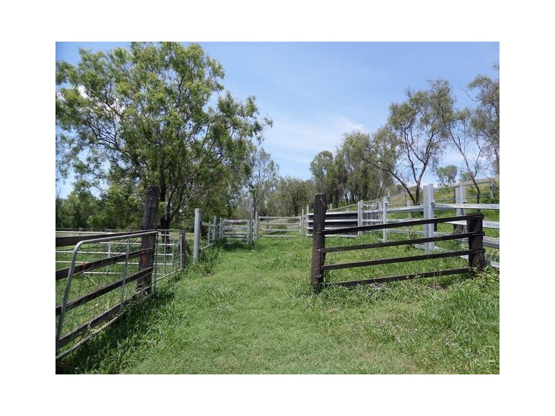 33 SIPPEL ROAD, Blenheim QLD 4341