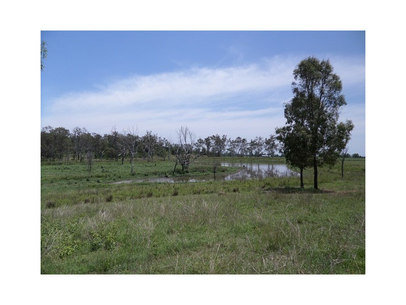 33 SIPPEL ROAD, Blenheim QLD 4341