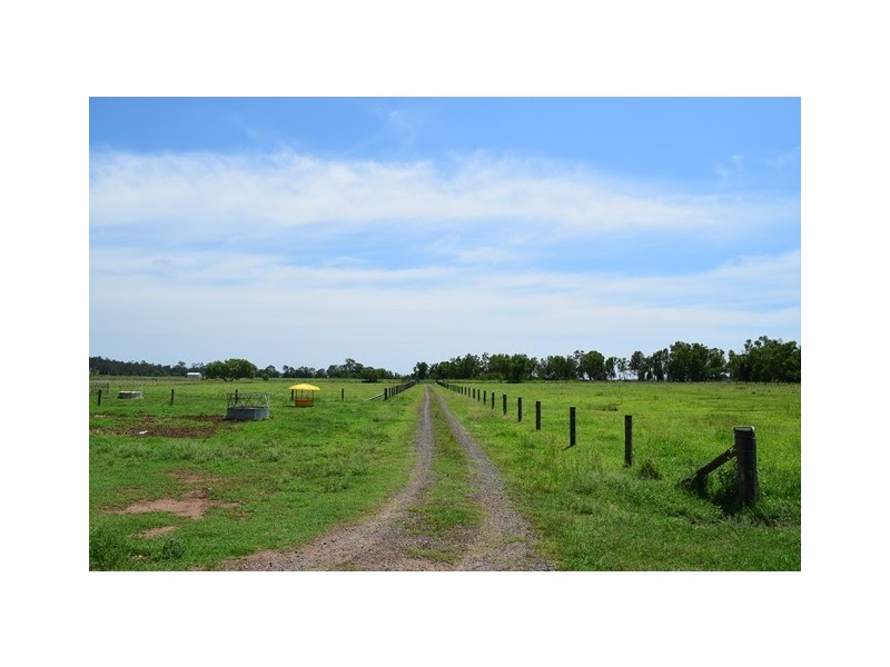 33 SIPPEL ROAD, Blenheim QLD 4341