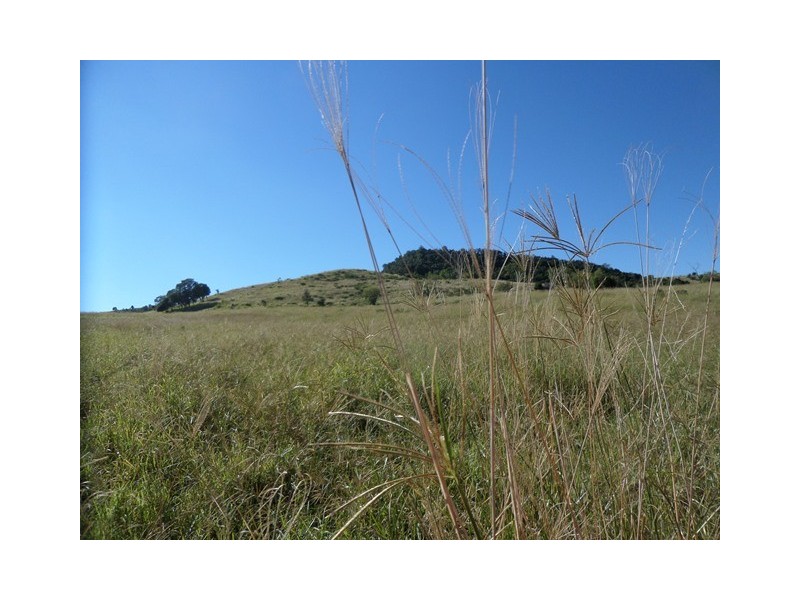 47 Duncans Rd, Ma Ma Creek QLD 4347