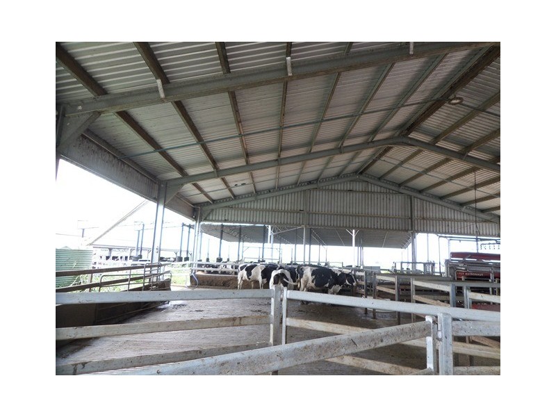 114 FOREST HILL-FERNVALE ROAD, Glenore Grove QLD 4342