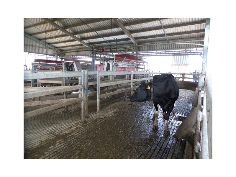 114 FOREST HILL-FERNVALE ROAD, Glenore Grove QLD 4342