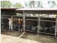 114 FOREST HILL-FERNVALE ROAD, Glenore Grove QLD 4342