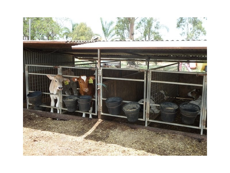 114 FOREST HILL-FERNVALE ROAD, Glenore Grove QLD 4342