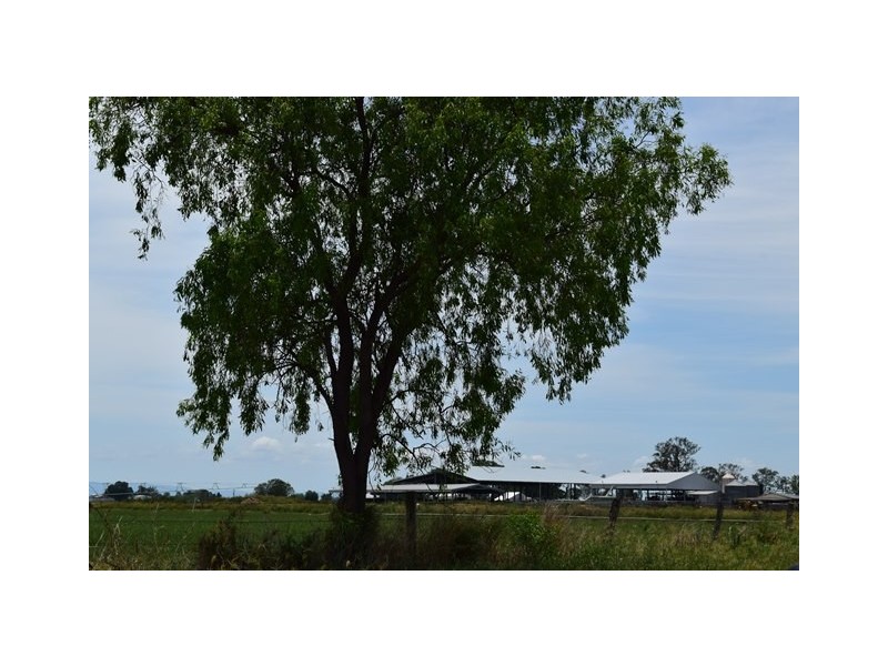 114 FOREST HILL-FERNVALE ROAD, Glenore Grove QLD 4342