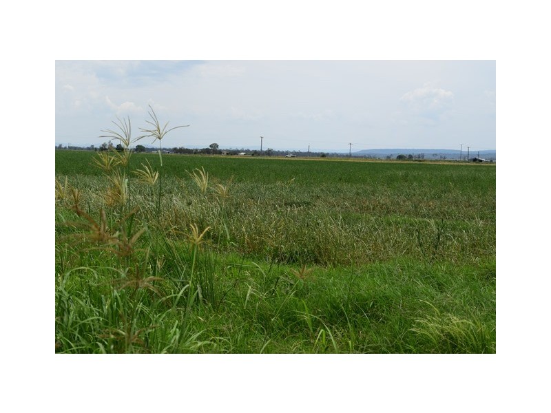 114 FOREST HILL-FERNVALE ROAD, Glenore Grove QLD 4342