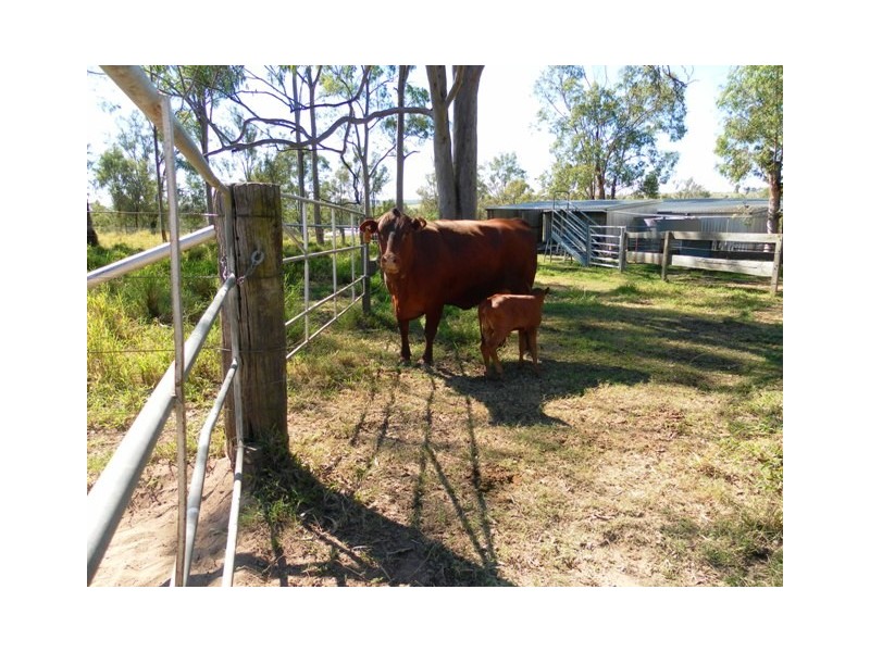 7A HARVEY ROAD, Forest Hill QLD 4342