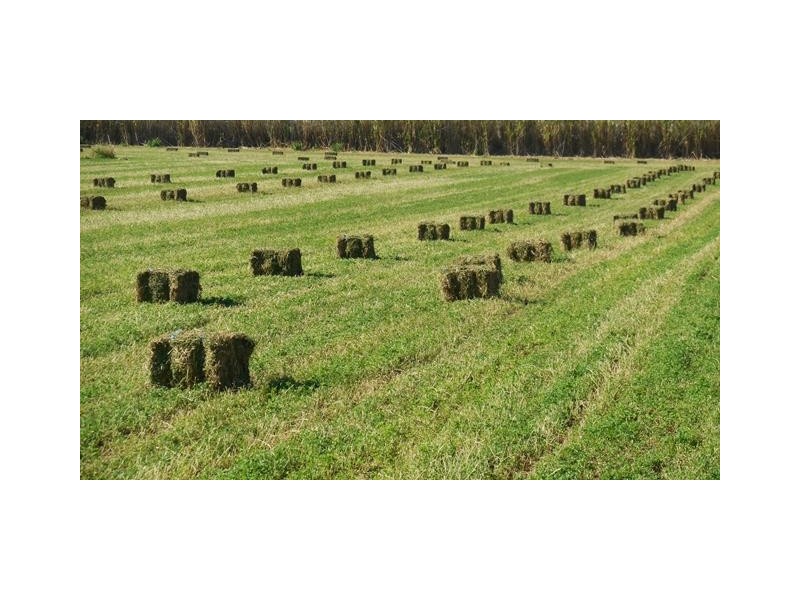 15 LOCKROSE ROAD, Lockrose QLD 4342