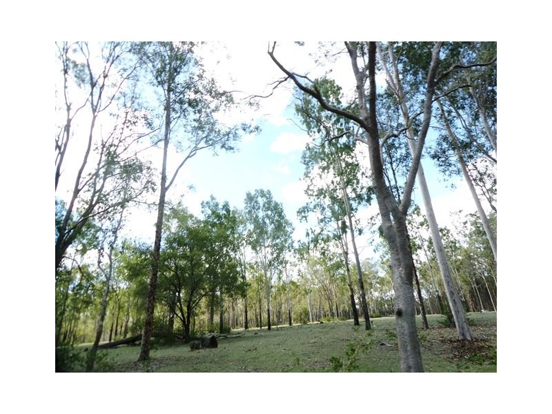 Adare QLD 4343