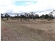 Placid Hills QLD 4343