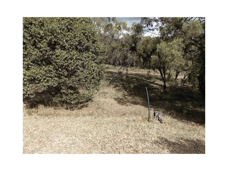 221 DRY GULLY ROAD, Mount Whitestone QLD 4347