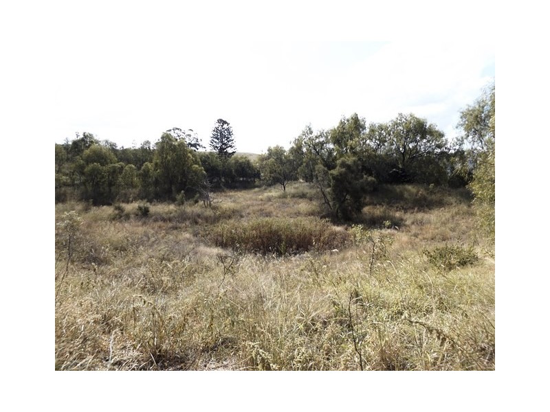 221 DRY GULLY ROAD, Mount Whitestone QLD 4347