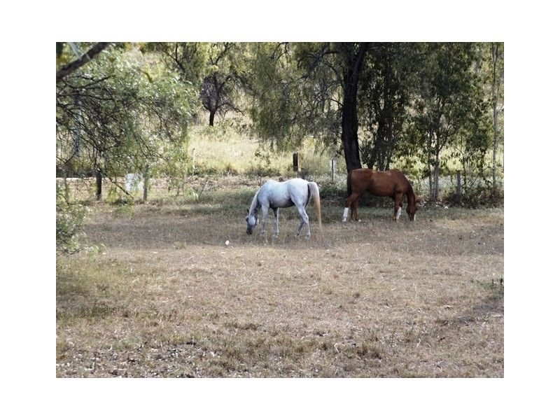 221 DRY GULLY ROAD, Mount Whitestone QLD 4347