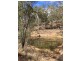 Lot 52 WALLERS ROAD, Gatton QLD 4343
