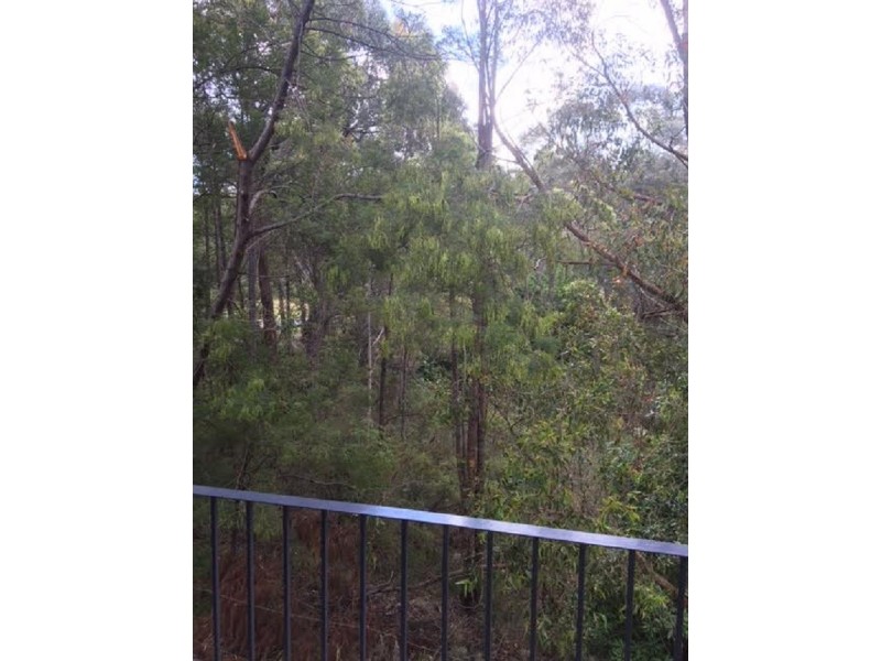 8A Wallaroo Road, Buxton NSW 2571