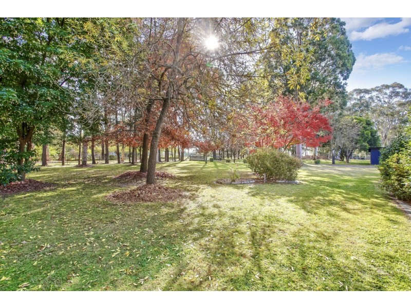 65 Ryan Street, Thirlmere NSW 2572