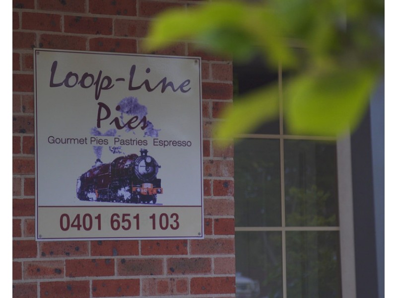 1 Constance Street, Thirlmere NSW 2572