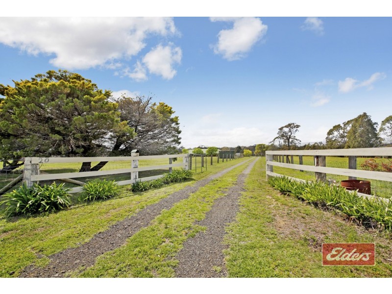 20 Lyrebird Road, Pheasants Nest NSW 2574