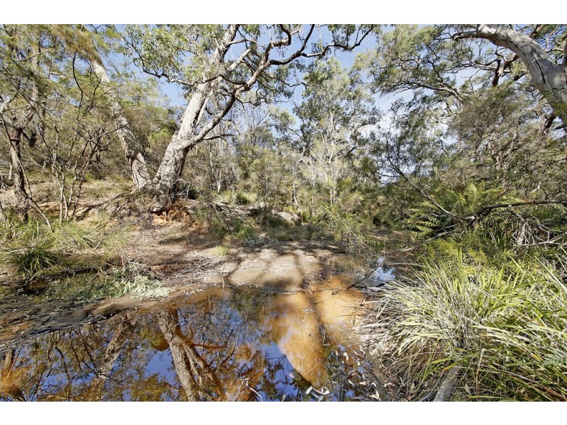20 Lyrebird Road, Pheasants Nest NSW 2574