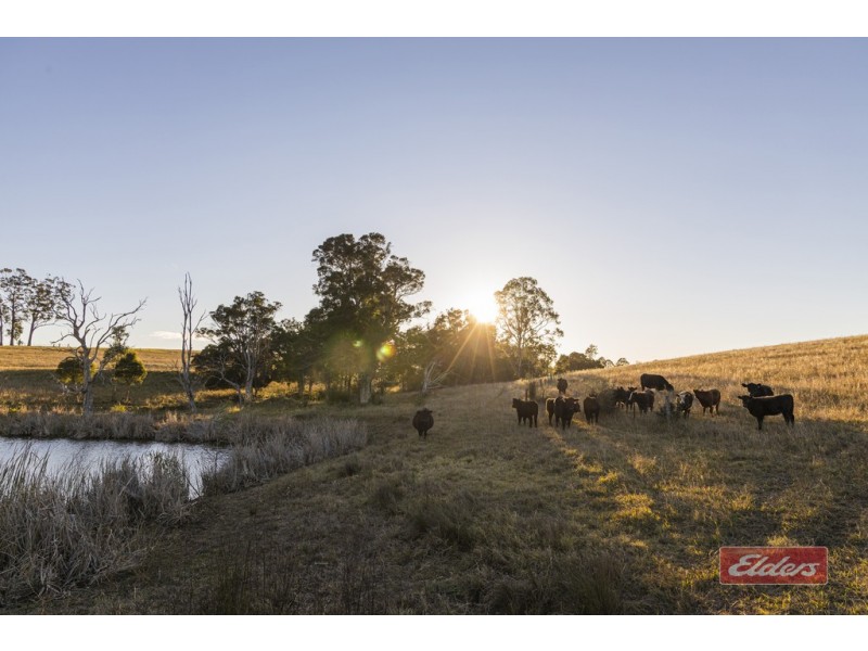 90 MOUNT VIEW CLOSE, Razorback NSW 2571