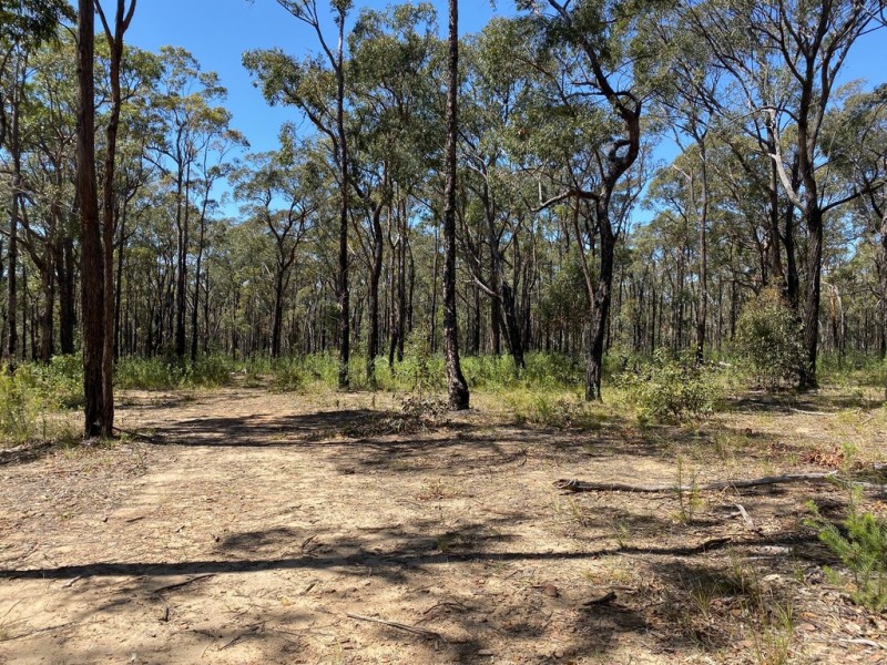 250 Wombat Road, Lakesland NSW 2572