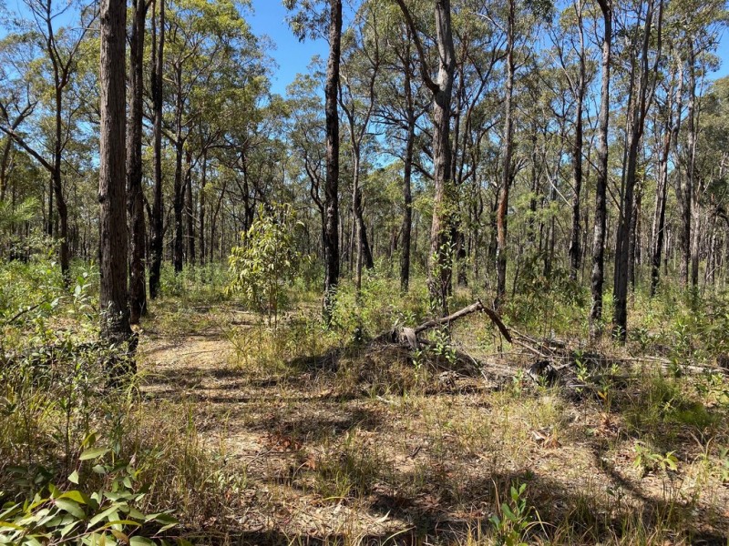 250 Wombat Road, Lakesland NSW 2572