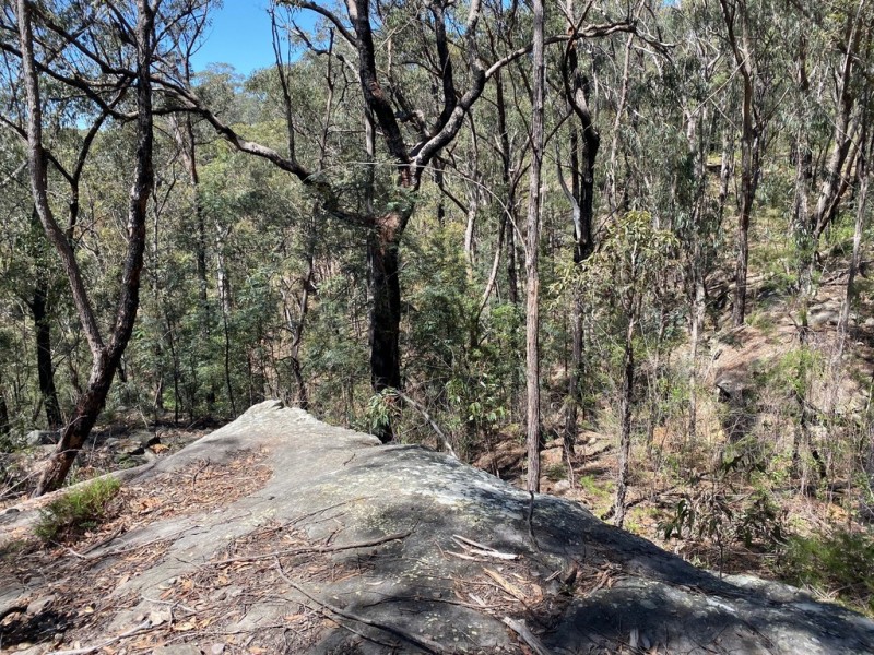 250 Wombat Road, Lakesland NSW 2572