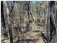 250 Wombat Road, Lakesland NSW 2572