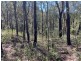 250 Wombat Road, Lakesland NSW 2572