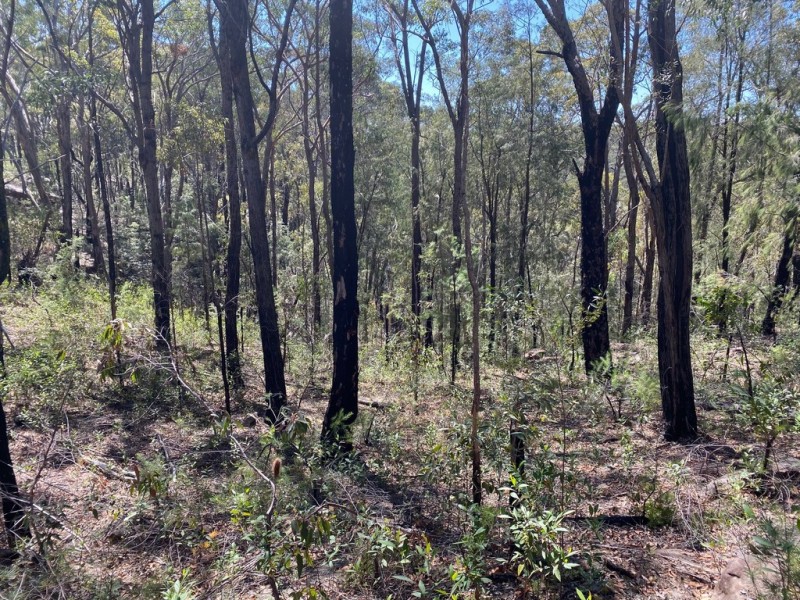 250 Wombat Road, Lakesland NSW 2572