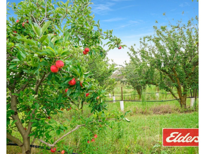 145 Fergusson Road, Lakesland NSW 2572