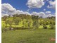 795 BURRAGORANG ROAD, The Oaks NSW 2570