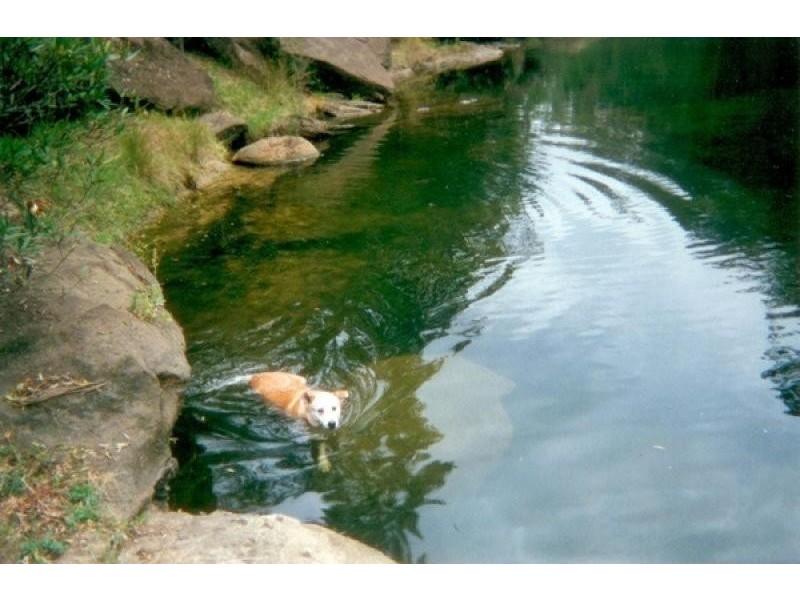 1235 Menangle Road, Picton NSW 2571