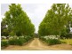 405 Mount Hercules Road, Razorback NSW 2571