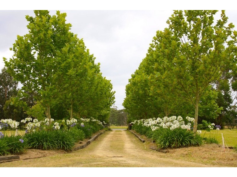 405 Mount Hercules Road, Razorback NSW 2571