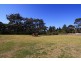 26 Boundary Road, Buxton NSW 2571
